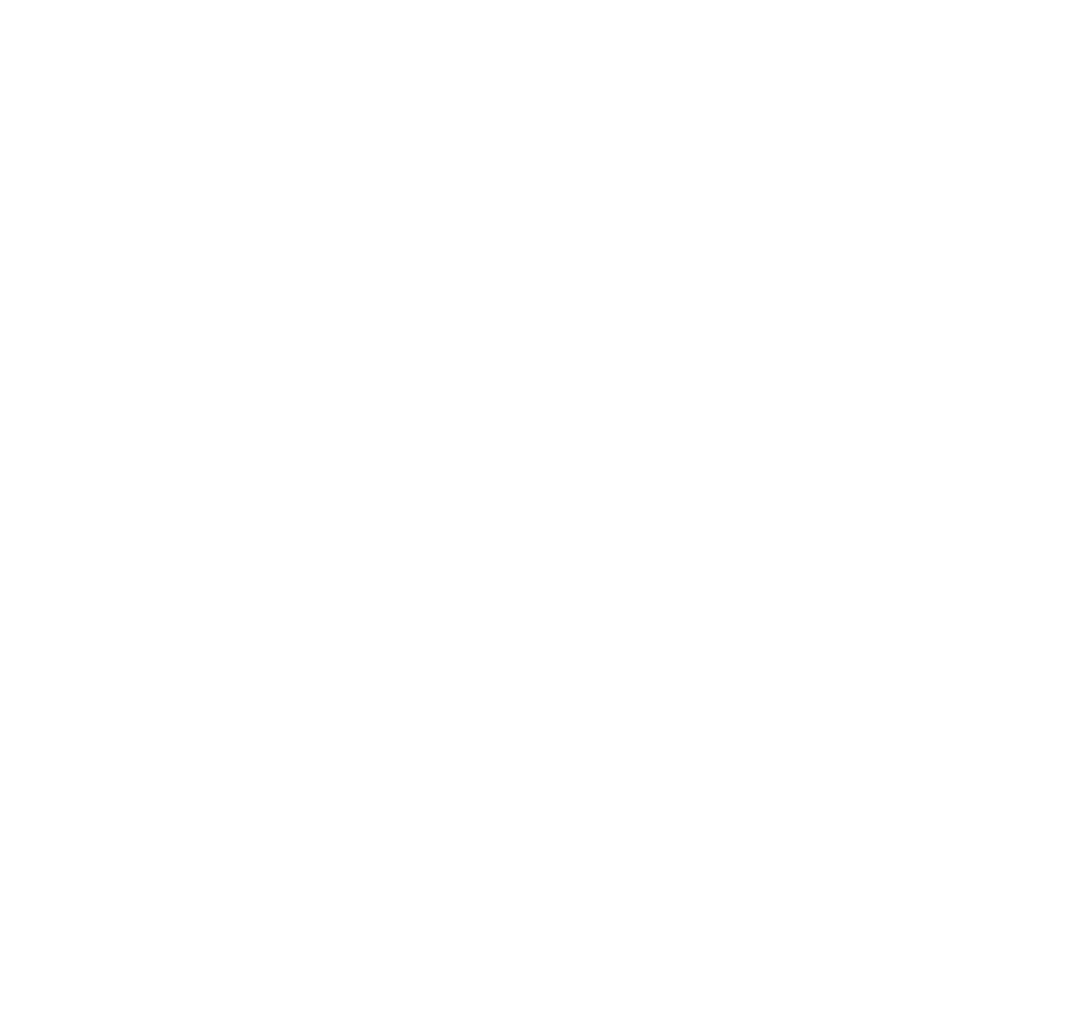 белое лого.png