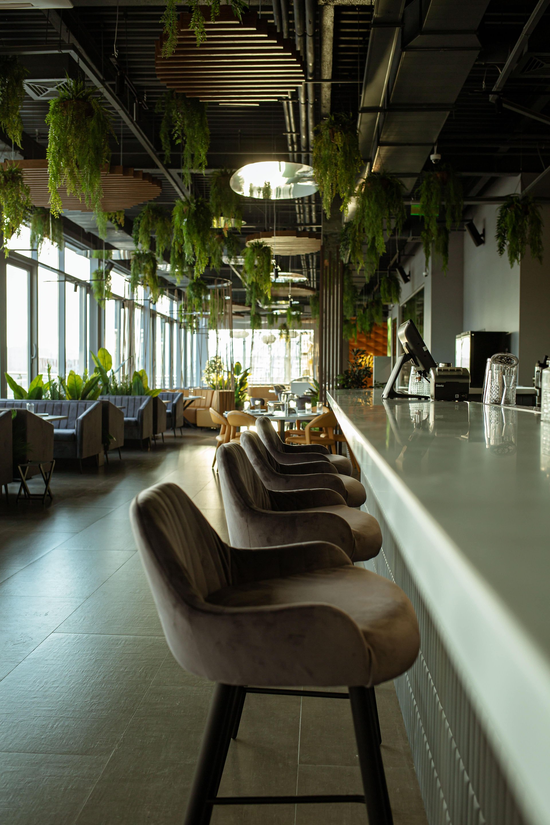 IMG (126)-min.jpg