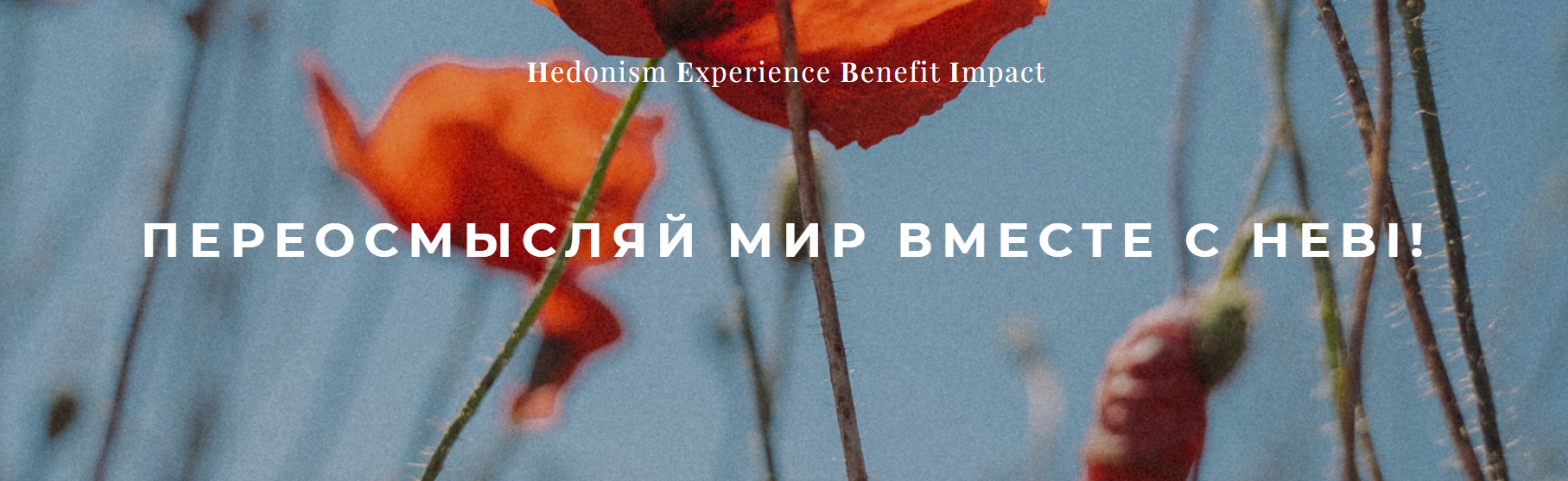Снимок экрана 2025-01-02 152418.png