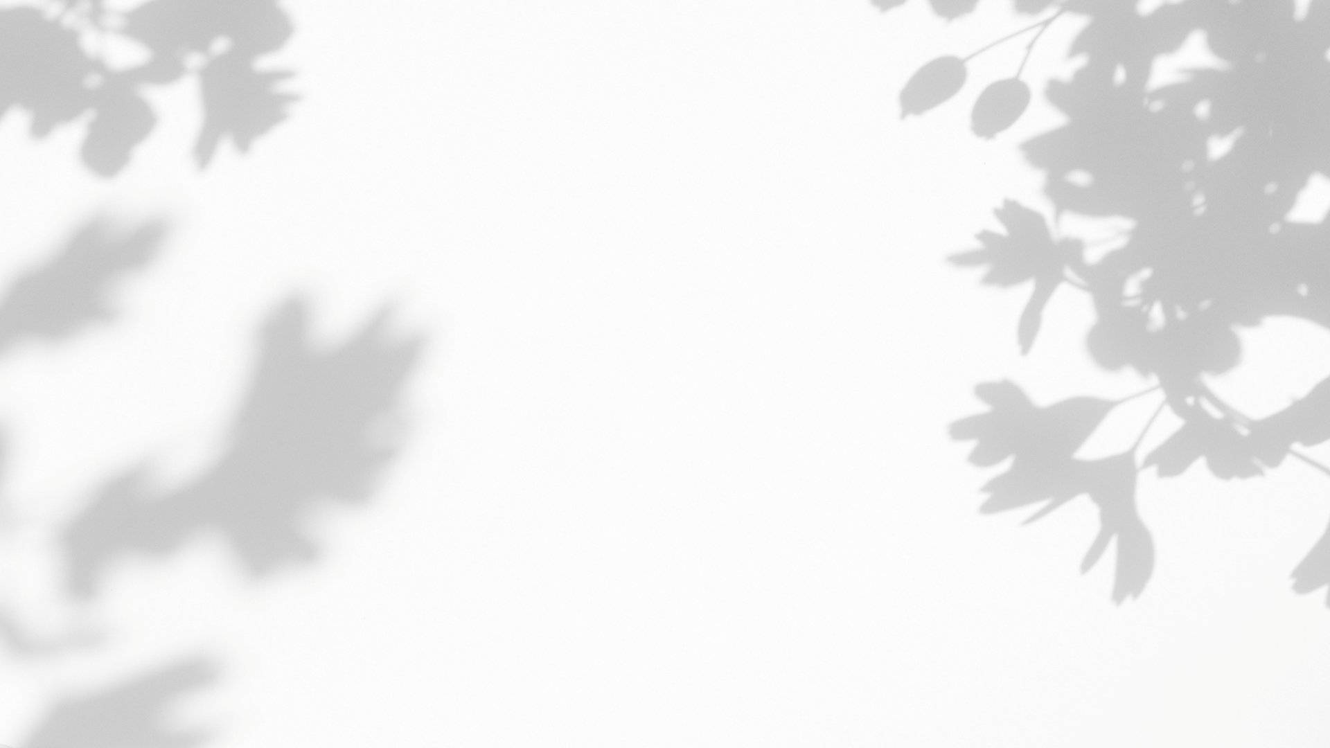 239096144_1598551554.jpg