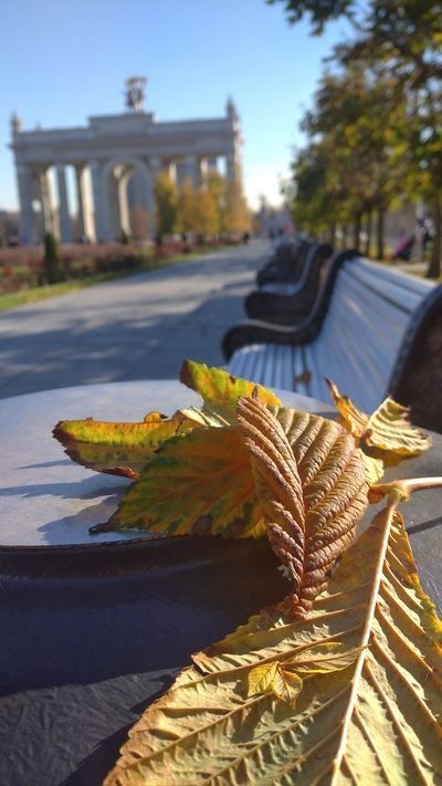 1866206204_797744113.jpg