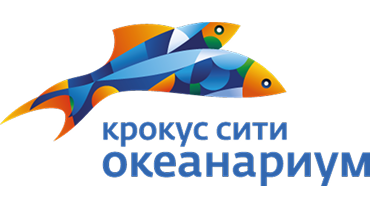 Group 1321317415.png