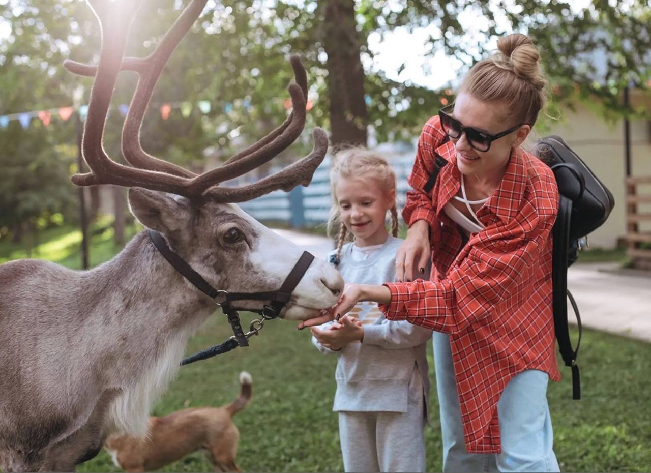 1448595935_316042162