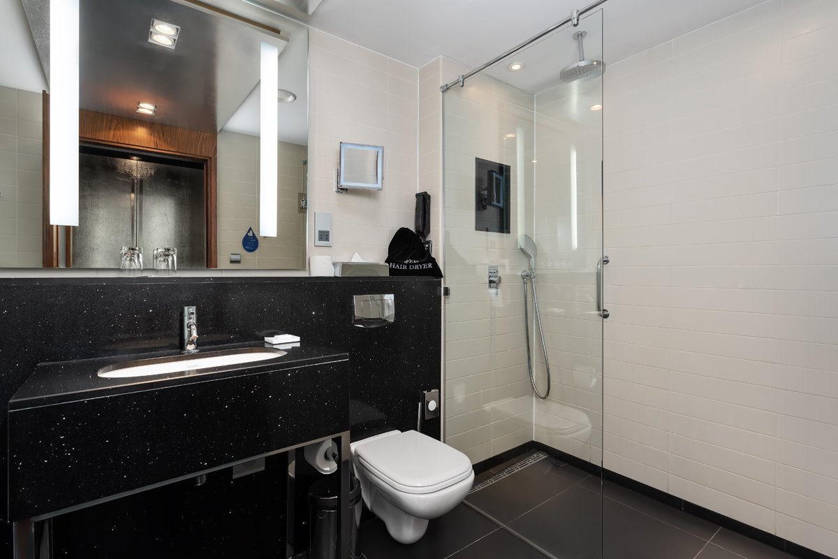 Standard Bathroom New York Mansion_1.jpg