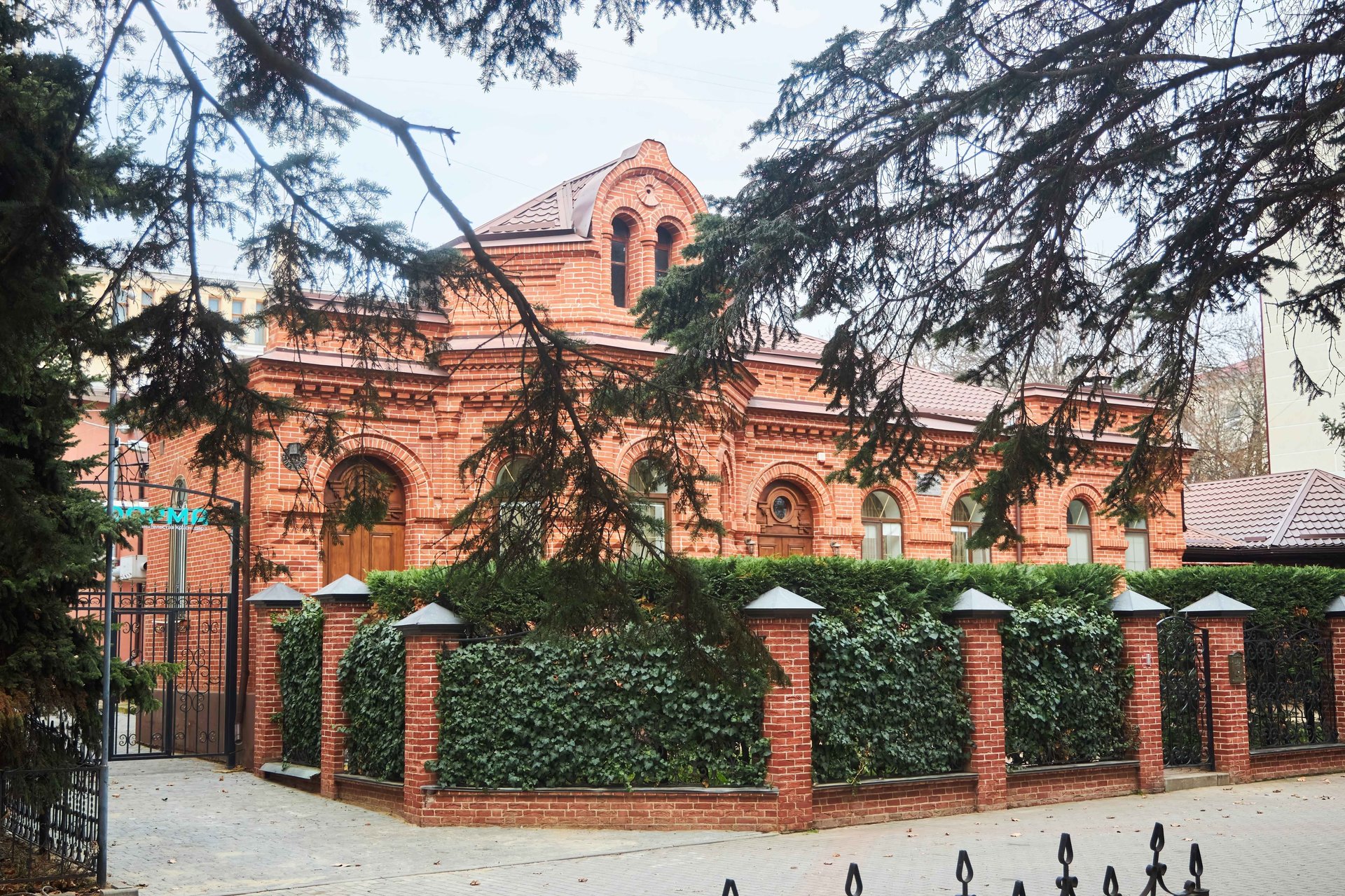 shutterstock_2416377463_11zon