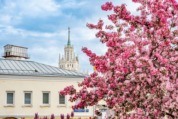 хитровская+площадь