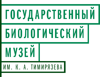 site_logo.png