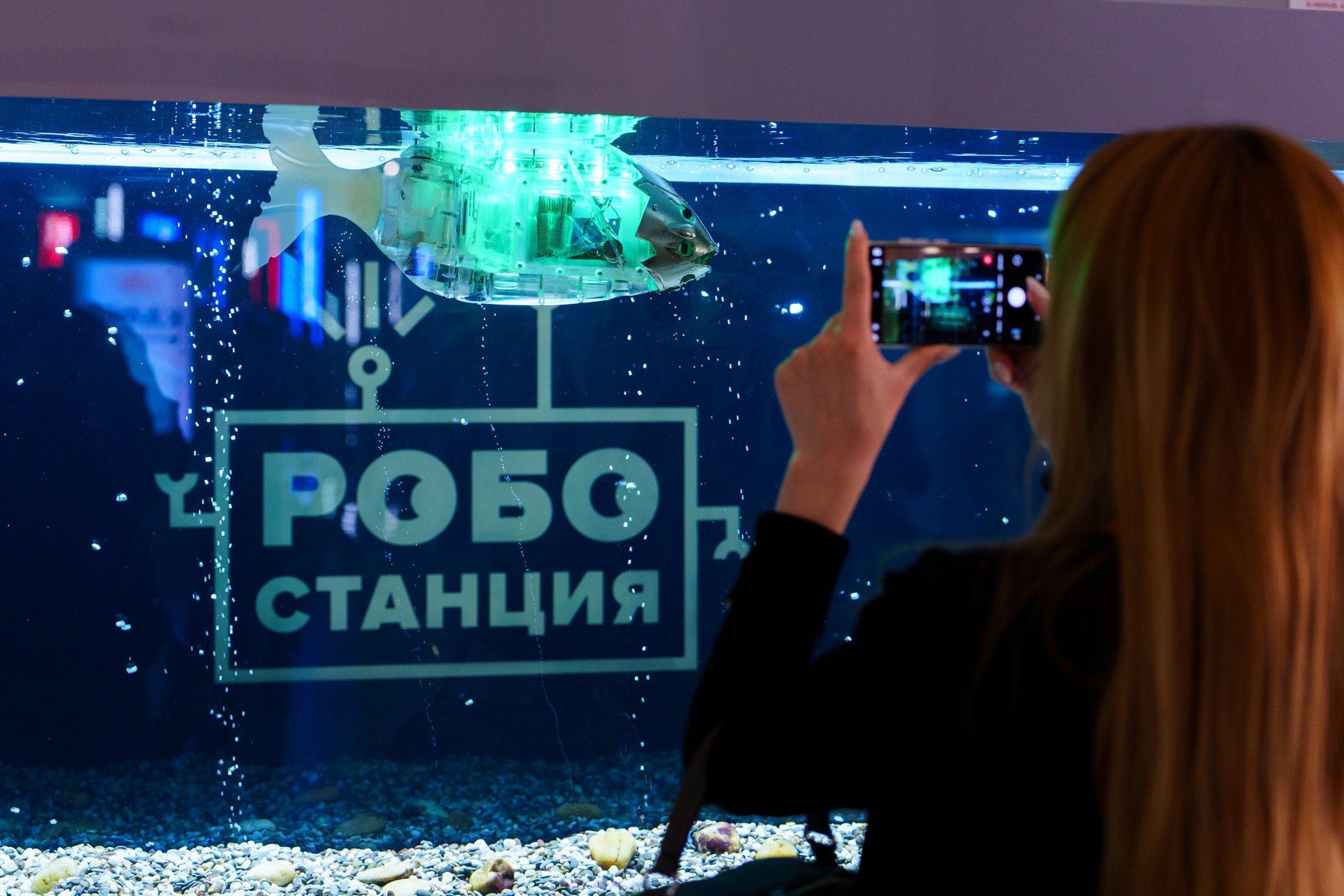 DSC05392 (1).jpg