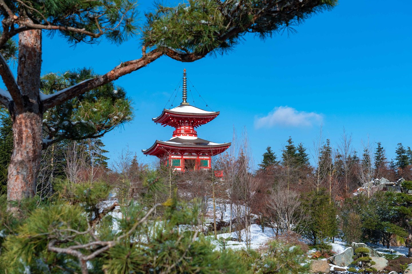 shutterstock_2402262261_11zon